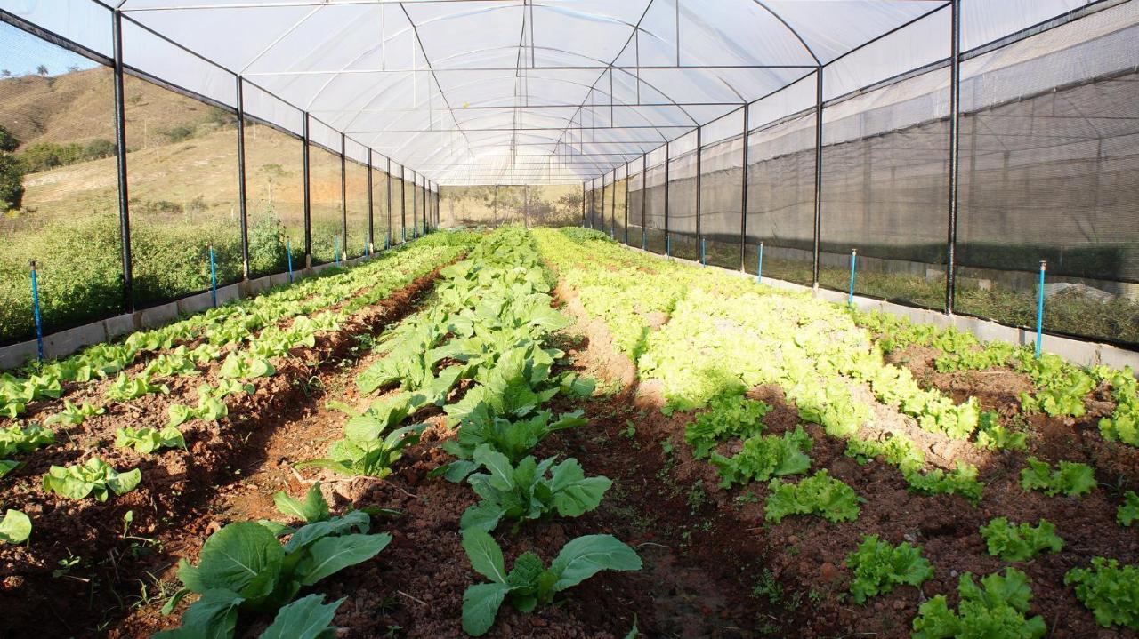 Fazenda Retiro Das Rosas Ouro Preto (Minas Gerais)