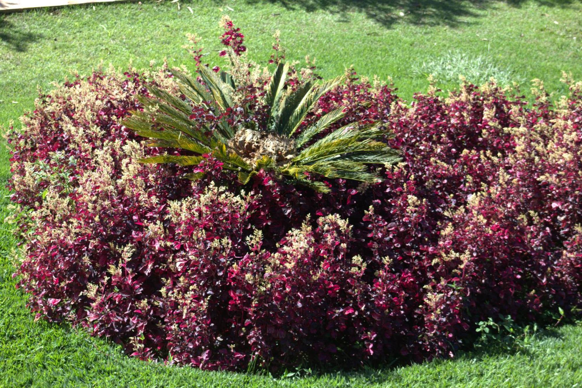 Fazenda Retiro Das Rosas *