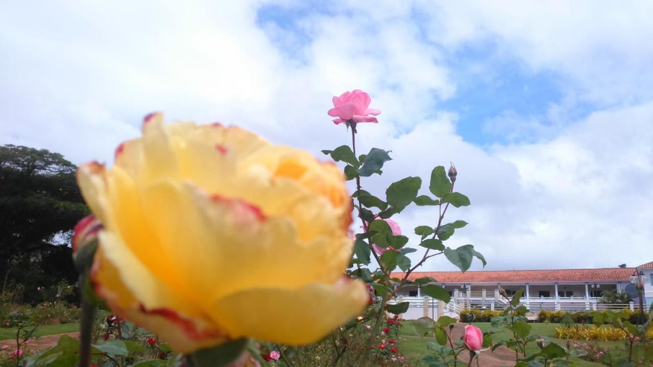 Fazenda Retiro Das Rosas Ouro Preto (Minas Gerais)